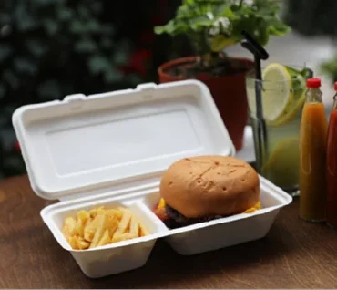 Sugarcane Snack Box 2 Compartment- 1 carton (500pcs)