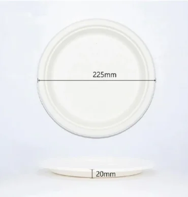 Sugarcane Plate 9" round - 1 Carton (500pcs)