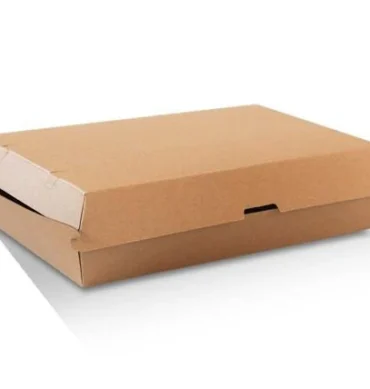 Kraft Brown Family Pack Box - 1 Carton (100pcs)