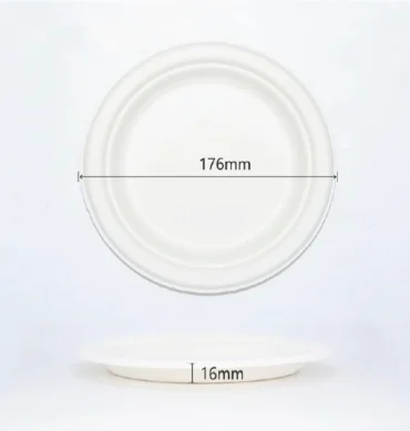 Sugarcane Plate 7" round - 1 Carton (500pcs)