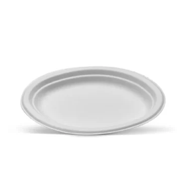 Sugarcane Plate 11"x13" oval - 1 Carton (500pcs)
