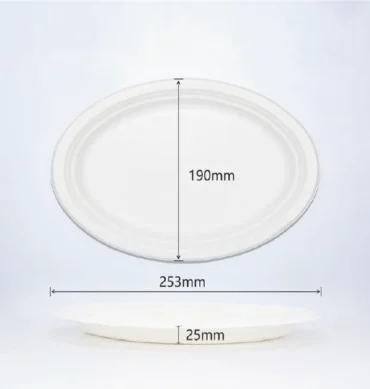 Sugarcane Plate 7"x9" oval- 1 Carton (500pcs)