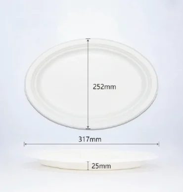 Sugarcane Plate 9"x11" oval - 1 Carton (500pcs)