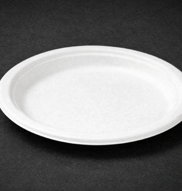 Sugarcane Plate 9" round - 1 Carton (500pcs)