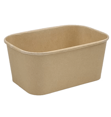 Brown Kraft 1000ml Rectangular Container